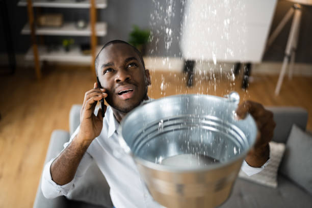 Best Residential water damage restoration  in Yuma, AZ