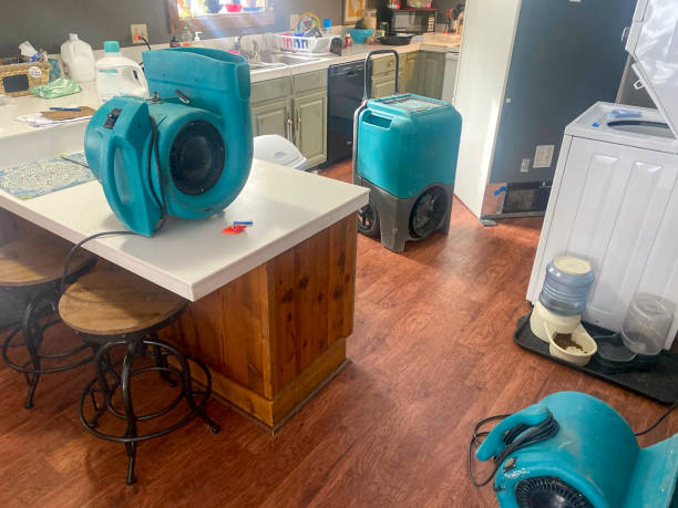 Best Fire Damage Restoration  in Yuma, AZ