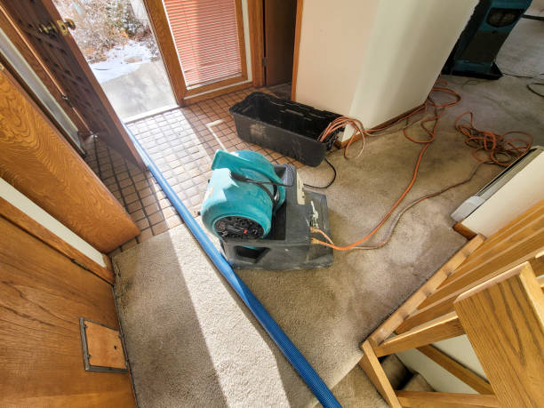 Best Water damage restoration near me  in Yuma, AZ