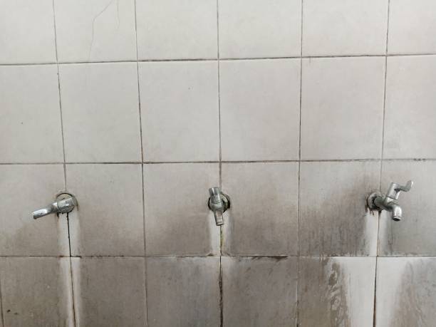 Best Flood restoration services  in Yuma, AZ
